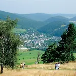 M Am Kurpark**** Inkl. Meinecard+ Apartamento Willingen (Upland)